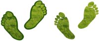 Carbon Footprint Supply Chain sustainability